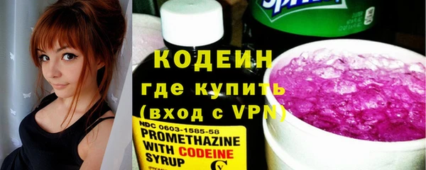 крисы Алагир